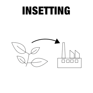 Icône : De l'usine à la production