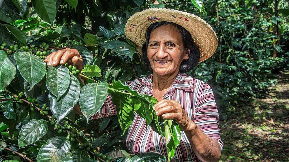 Mamahuaca: where our organic coffee comes from | CoffeeB – CoffeeB.ch