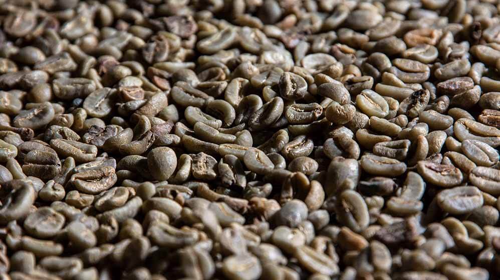 Eine Nahaufnahme von getrockneten Kaffeebohnen